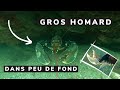 Un gros homard facile  pcher  chasse sous marine bretagne sud