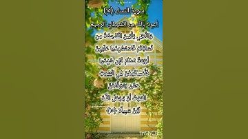 سورة النساء الآية ١٥