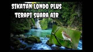 Sikatan londo plus terapi suara air rileksasi
