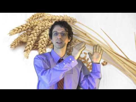 Video: Biomarcatori Dell'assunzione Di Cereali