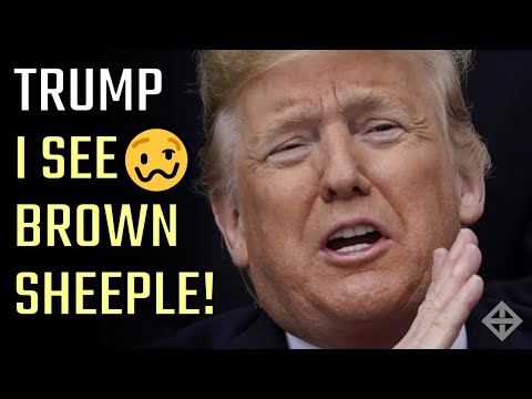 I See Brown Sheeple! Donald Trump waddles into a Vegas Cuban Sandwich shop with Vivek Ramaswamy