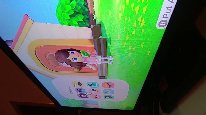 Animal crossing with sister not part 1 (sherita fl...