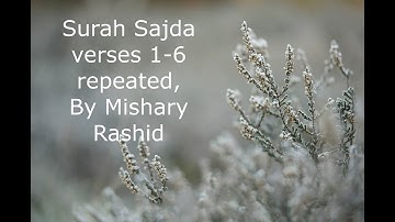 سوره سجده آیات 1-6 برای حفظ قرآن 7 بار توسط شیخ مشاری رشید تکرار شده است.