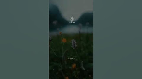 اعلموا أنما الحياة الدنيا لعب ولهو.. 🌿سورة الحديد🌿اسلام صبحي🌿تلاوة هادئة🌿🎧❤😍 #اكسبلور