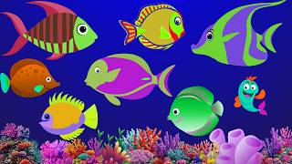 🐠 Sleepy Fish Dreams  Calming Baby Bedtime Lullaby😴 #Dreamiva Fish :Relaxing Music💤
