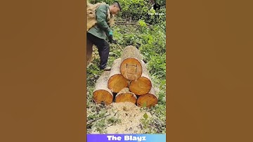 GIANT Log SPLIT Like MAGIC! 🌳 Watch This Saw in Action! #woodcutting #satisfying #viral