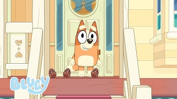 Best of Bluey Bonus Bits! | 20 MINUTES | Bluey