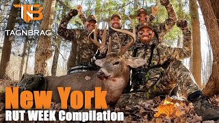 Rut Week 2022