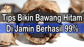 7 langkah bikin bawang hitam anti gagal