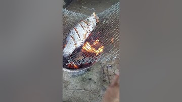 Cách nướng cá Mè Kẻ phần 2