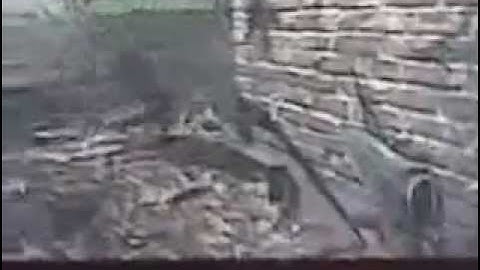 cod5 glitch at asylum