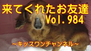 KiSSWann(キッスワン) 詳しくは⇒⇒⇒http://kisswann.com キッスワンは東...