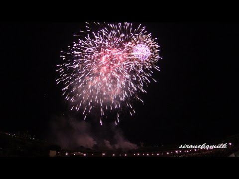 アナ雪 Let it go - Frozen Music wide display | Japan Kitakata Fireworks festival 2013 二市一ヶ村日橋川の祭典花火大会