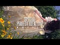 ⚜ [FS1] special edition; perfectly ideal life-reality