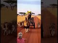 #funny #wildlifeentertainment