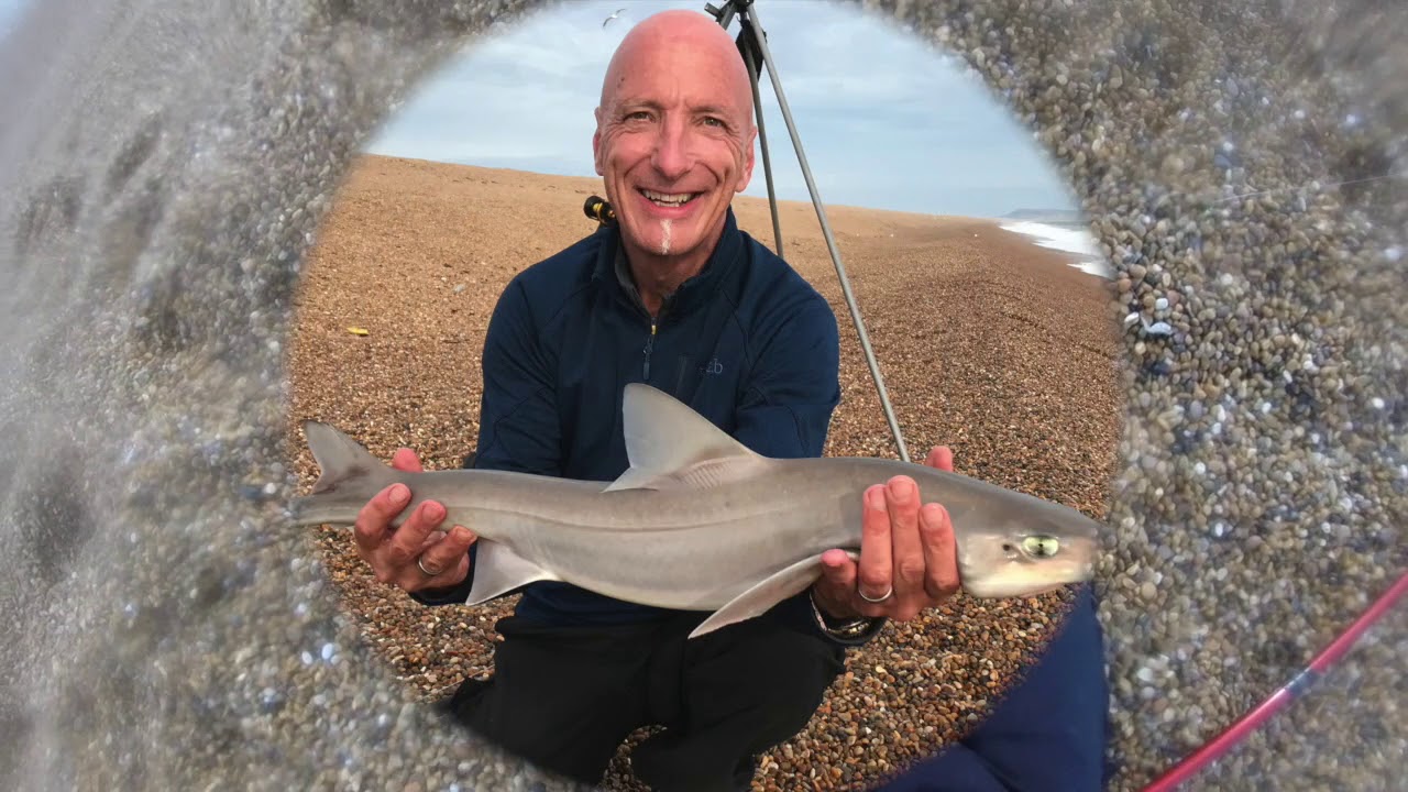 Sea Fishing Chesil Beach. Chesil On Form. Month by Month. July 2019