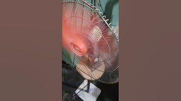 Quạt gió, Shorts MyQB