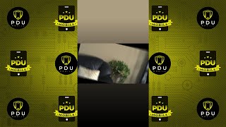Rotate and Flip | PowerDirector App #Shorts