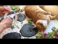 Relaxing DIY with cats/ @KLEVER  Art Therapy/ Soothing ART