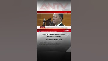 Tuyên án 22 năm tù nhóm truy đuổi chém người tử vong #antv #shorts #thoisu #gietnguoi