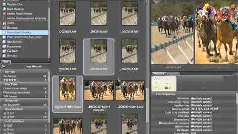 06 How to Use Bridge CS3