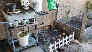 Winterizing My Vegetable Garden