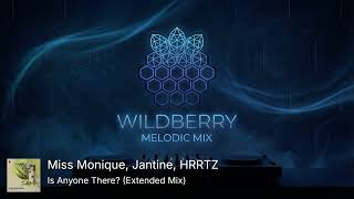 Best of 2025 Vol 2 | Melodic Progressive House Mix | 031