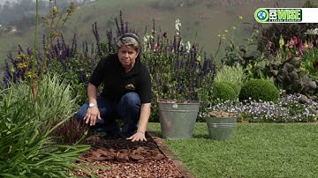 Save water with mulch!