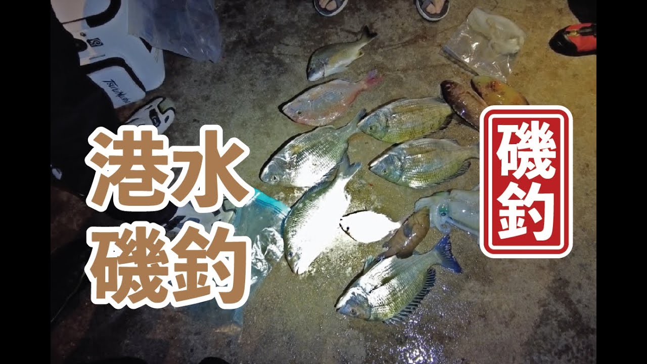 【 香港磯釣 】今次同大家睇吓果洲有冇魚釣先 #釣魚#香港磯釣#外礁磯釣#小魚放生#自己垃圾自己帶走#記得洗地#磯釣新手