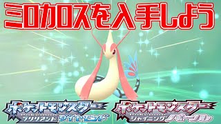 ポケモンダイパリメイク ミロカロスを入手しよう ヒンバスを進化させる方法 ポケットモンスター ブリリアントダイヤモンド シャイニングパール Pocket Monsters Youtube