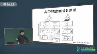 11 4学科交叉的应用