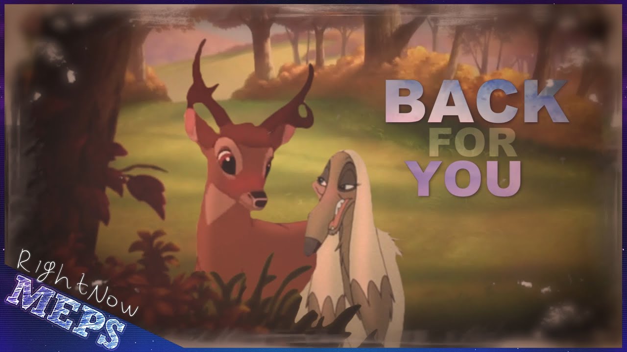 「RN ᴹᴱᴾˢ」 Back For You ➸ FULL ANIMASH MEP