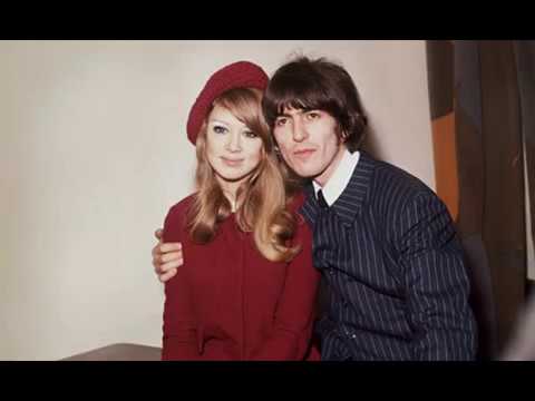 『Something』を日本語で歌ってみた The Beatles in Japanese