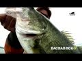 ロクマル連発!!バオバブホッグで驚異の釣果!!☆ 琵琶湖