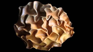 Focus Stacking 3D of cosmic object