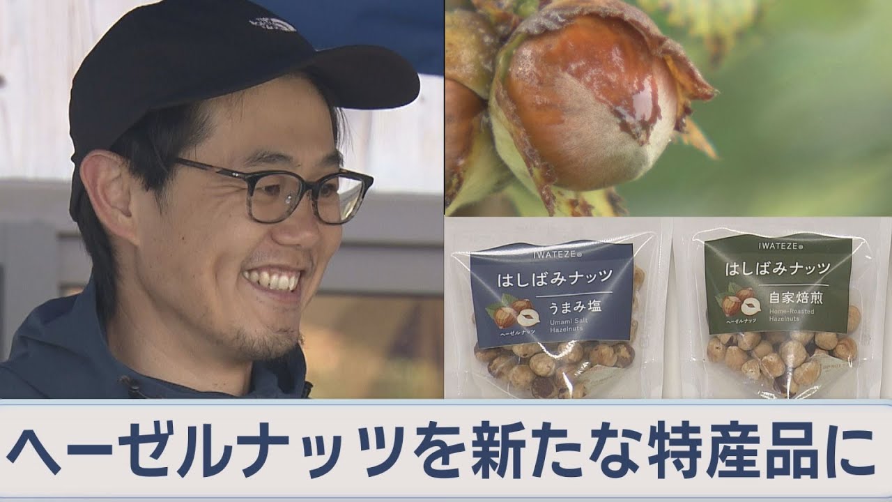 Hazelnuts as a new local specialty [J-Chan Iwate Video] - YouTube