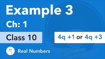 Example 3 - Chapter 1 - Class 10 | Real Numbers | NCERT Maths (Old Book)