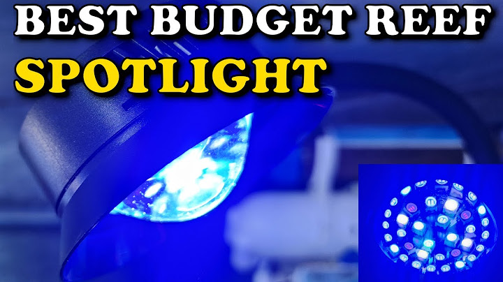 Best BUDGET Nano Reef Spotlight? | hygger 30 Watts Aquarium LED Reef Light Spotlight