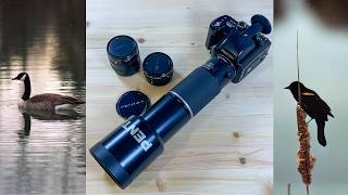 Bird Photography on Medium Format Film | Pentax 645N Bird Photography on Medium Format Film | Pentax 645N