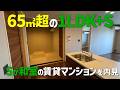 和室がサービスルームの1LDK+S🗾築浅賃貸マンション✨シャーメゾンのベレオを内見ルームツアーin松山市