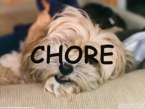 A Velhice no cão