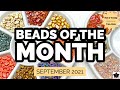 Hot & Trendy and 2 Hole Beads of the Month September 2021
