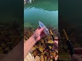 Kanama Smart Bait - Sometimes, the last cast is the only one that matters.