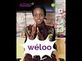 فولاني فلاته موريتانيا