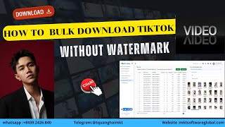 How To Bulk Download Tiktok Videos Without Watermark 2025