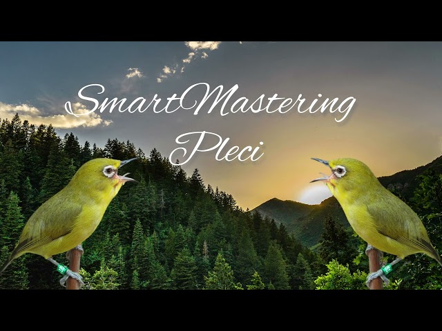 Terapi Air Untuk Pleci Macet Bunyi | Smart Mastering Pleci class=