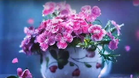 من اجود ما قرا الشيخ خالد الجهيم #سورة_البقرة #قرآن