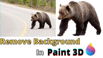 How to Remove Background from Picture using Paint 3D in Windows 11
