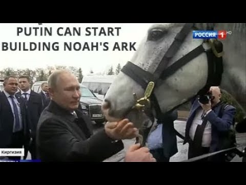 putin horse