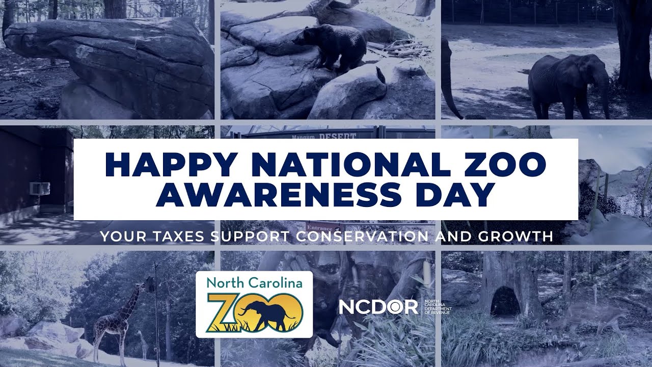 National Zoo Awareness Day YouTube